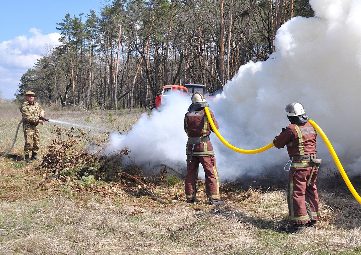Пожежники та лісівники провели спільні навчання